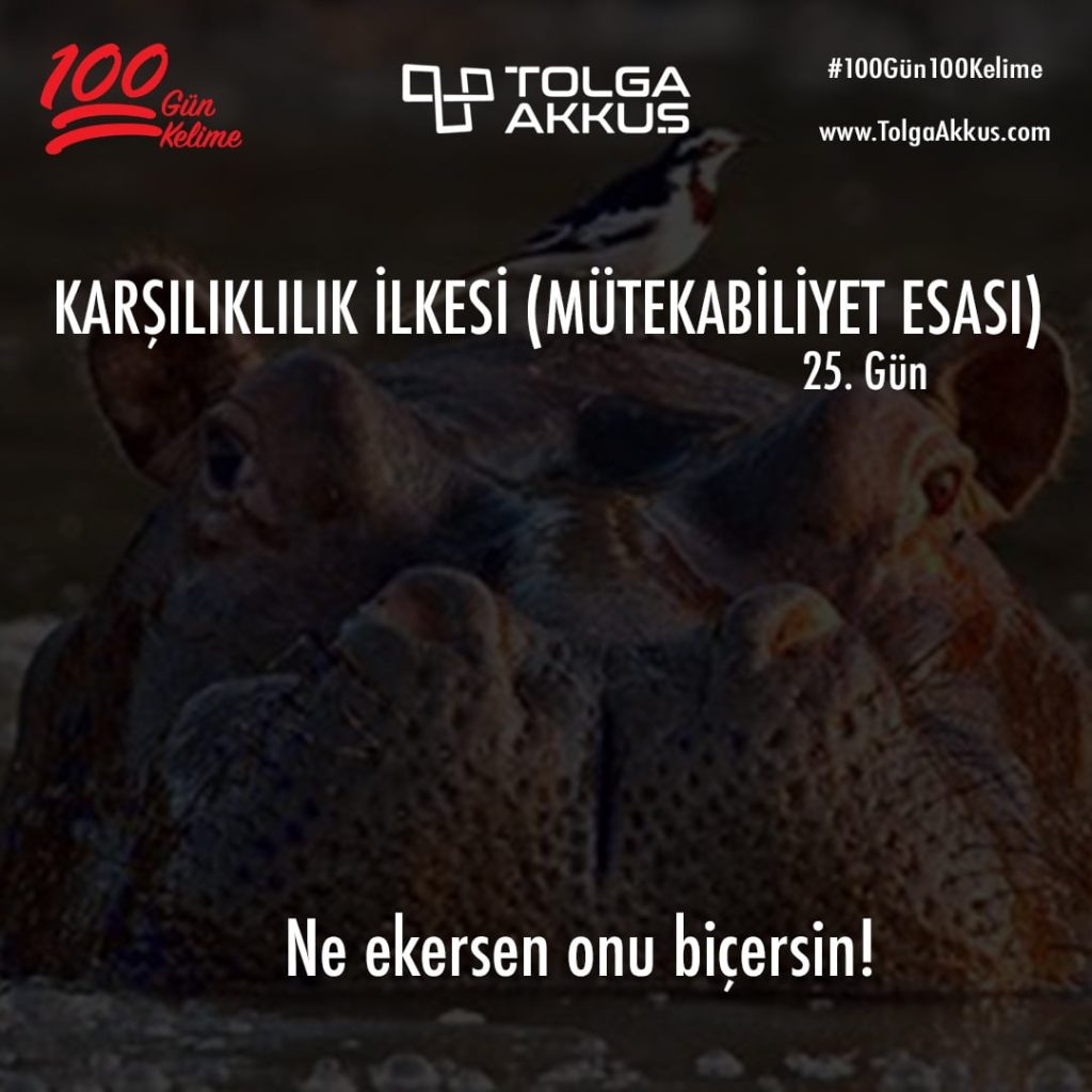 Karşılıklılık İlkesi (25. Gün)