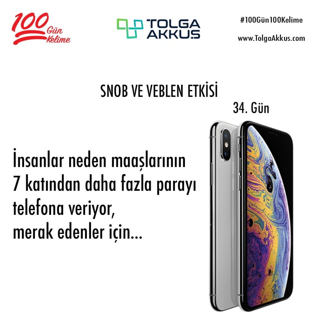 Snob ve Veblen Etkisi (34. Gün)
