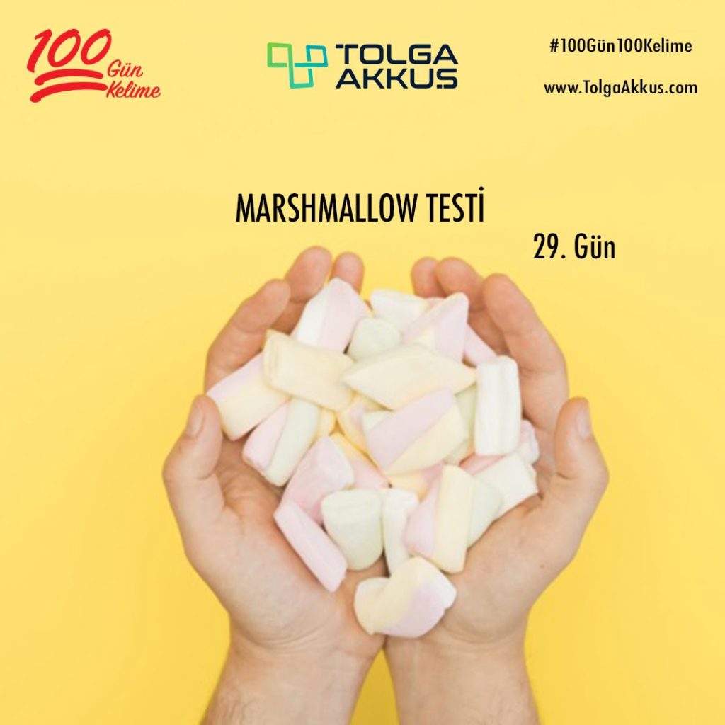 Marshmallow Testi (29. Gün)