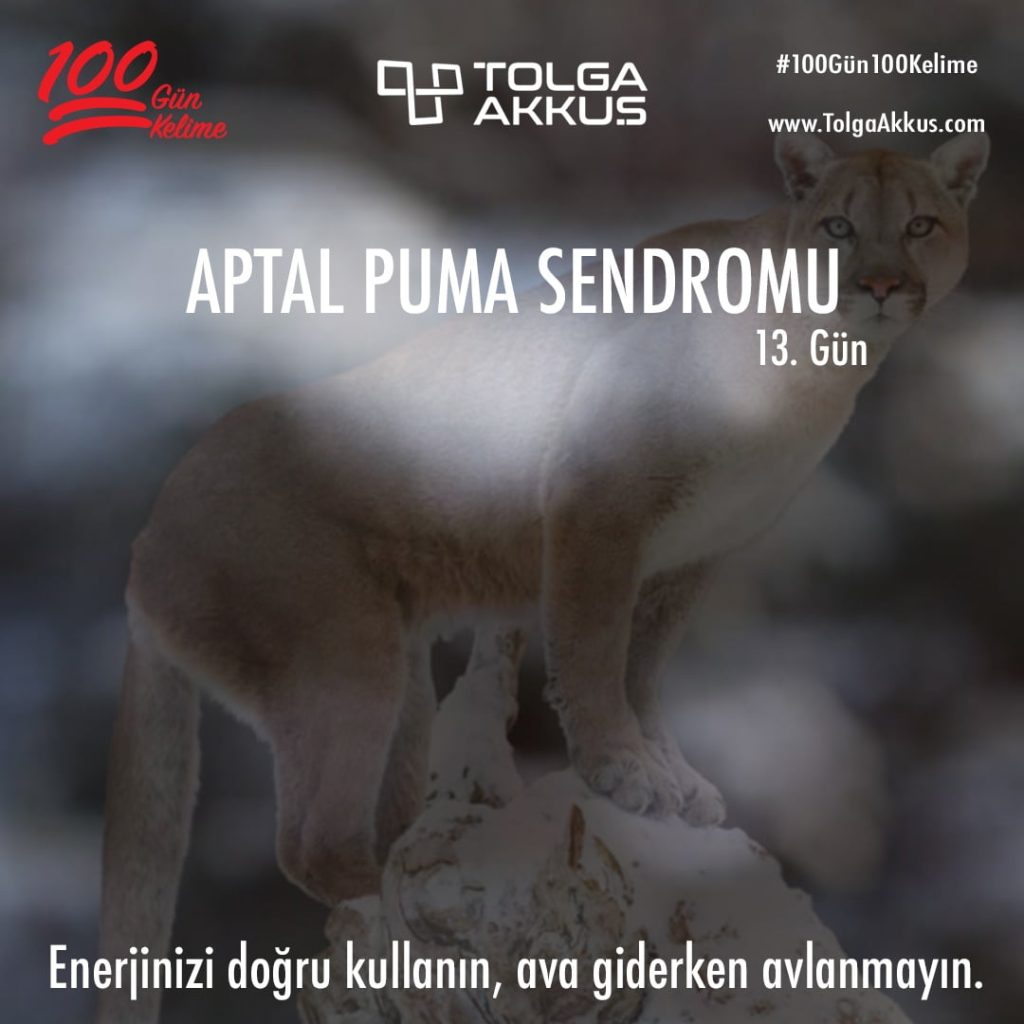 Aptal Puma Sendromu (13. Gün)