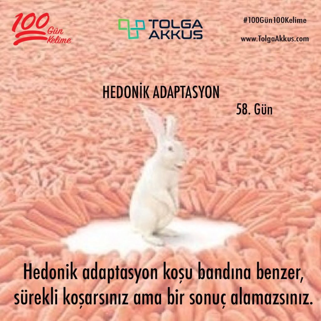 Hedonik Adaptasyon (58. Gün)