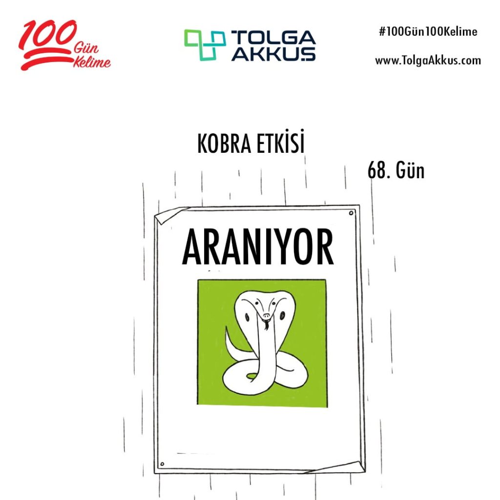 Kobra Etkisi (68. Gün)