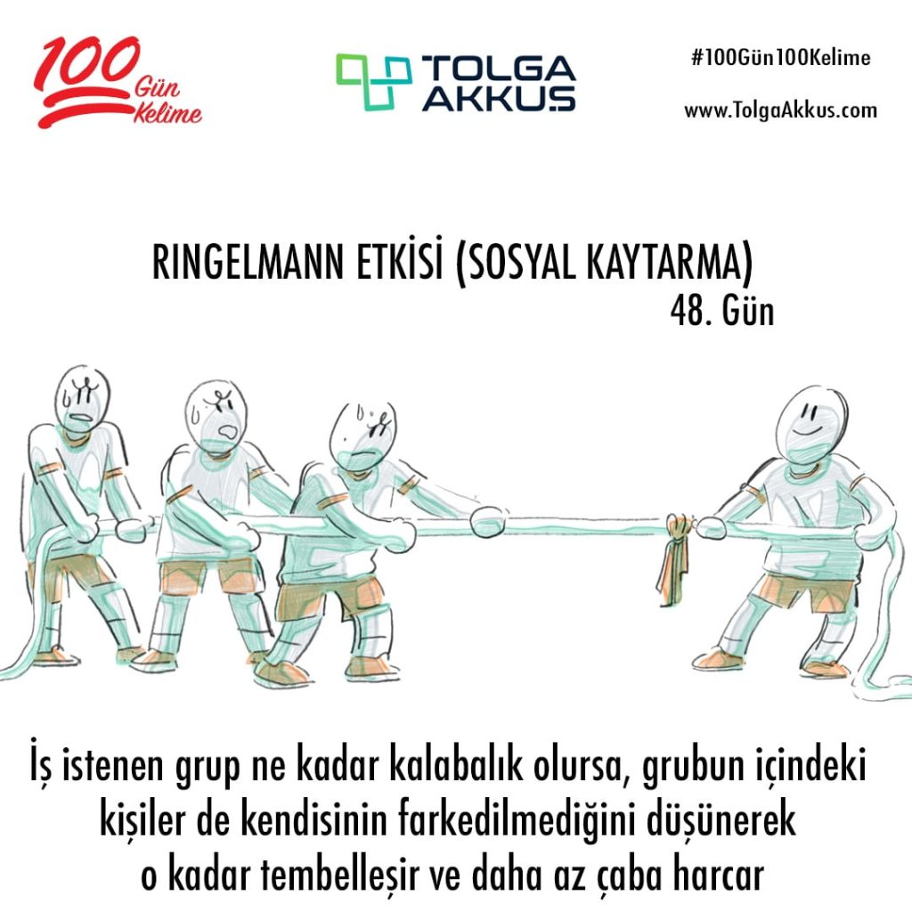 Ringelmann Etkisi (48. Gün)