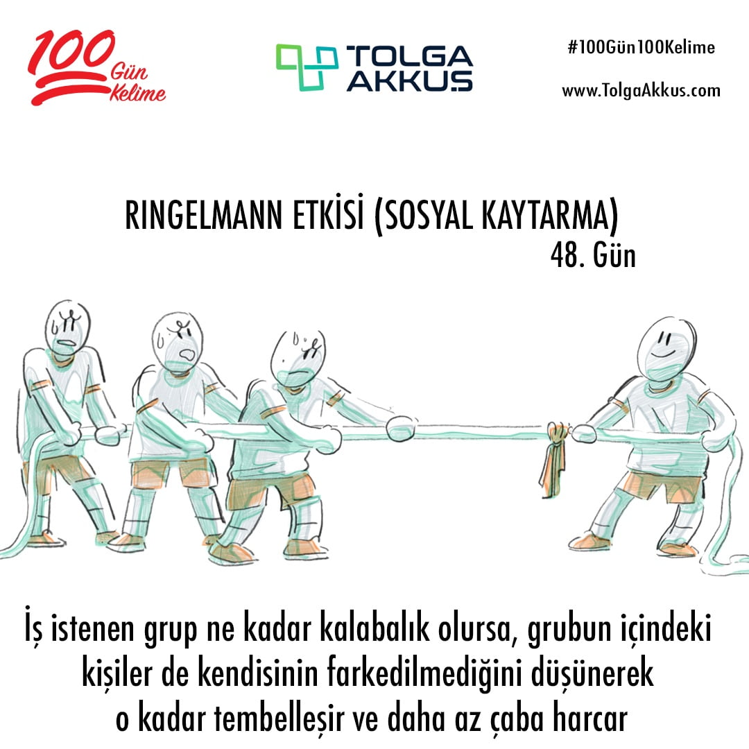 Ringelmann Etkisi (48. Gün)