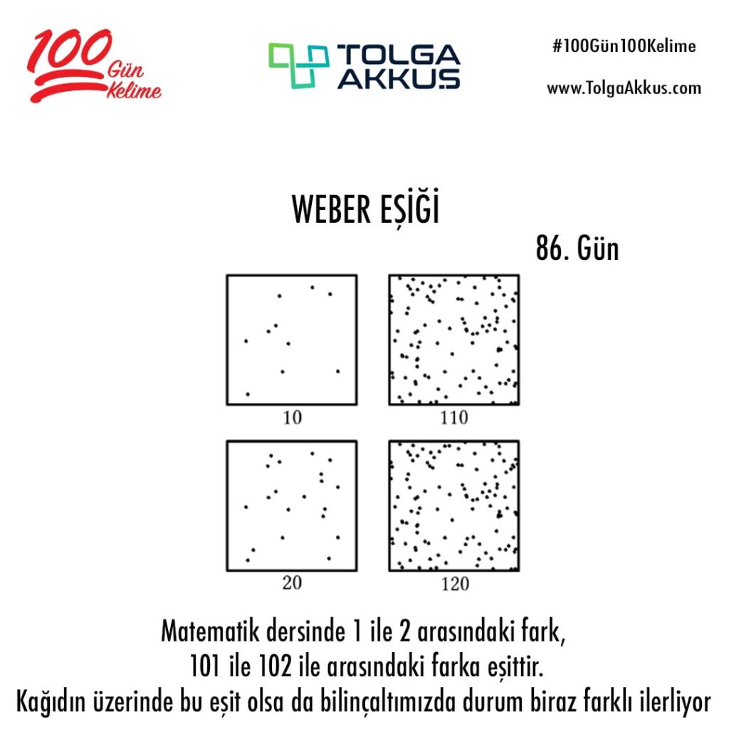 Weber Eşiği  (86. Gün)