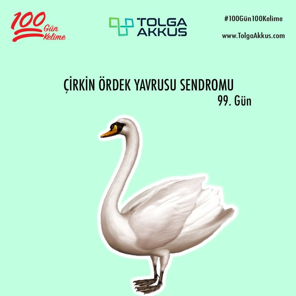 Çirkin Ördek Yavrusu Sendromu (99. Gün)