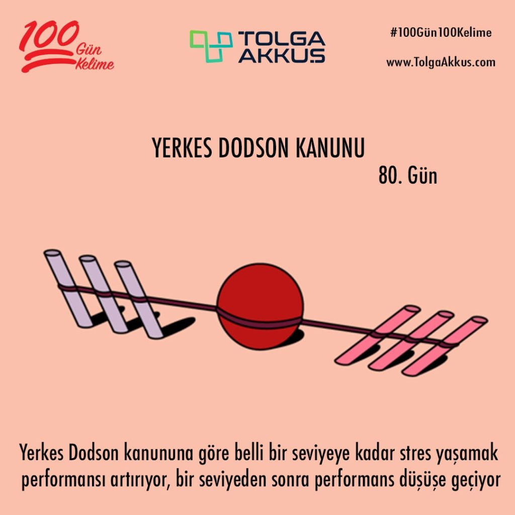 Yerkes Dodson Kanunu (80. Gün)