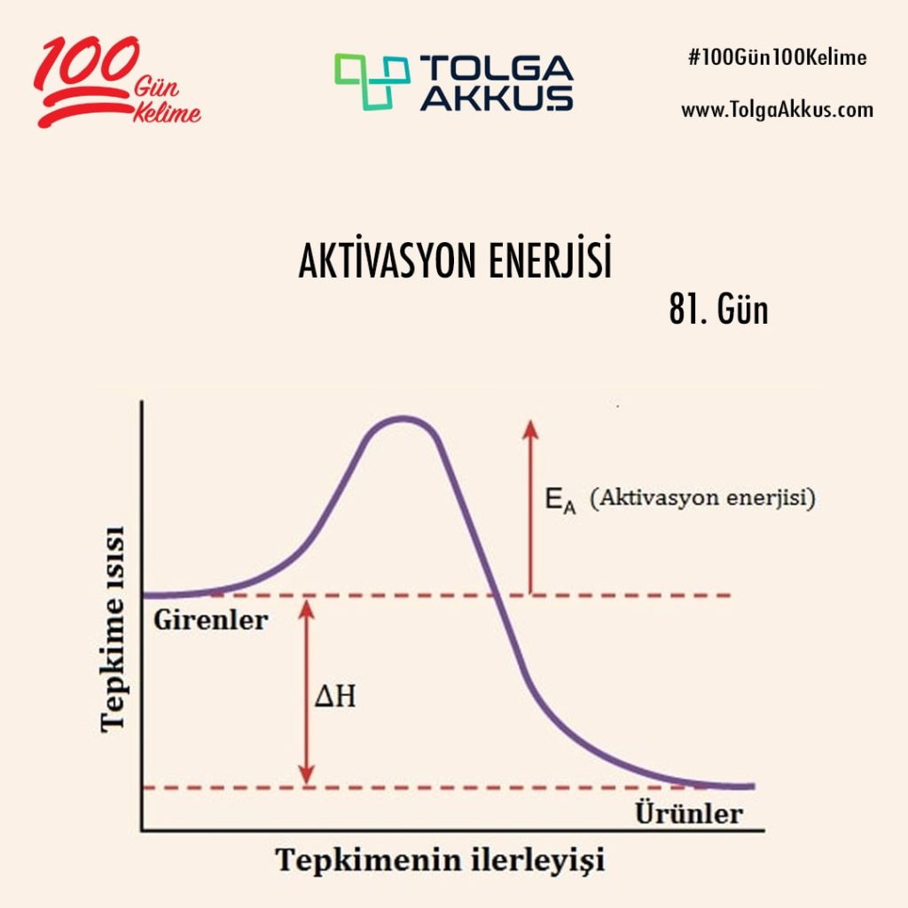 Aktivasyon Enerjisi (81. Gün)