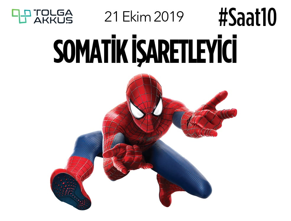 Somatik İşaretleyici